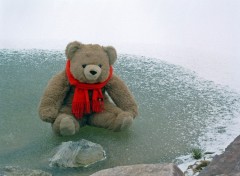 Fonds d'cran Objets Gros Nounours sur la glace...