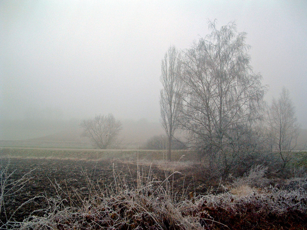 Fonds d'cran Nature Saisons - Hiver Brouillard givrant...