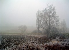 Fonds d'cran Nature Brouillard givrant...