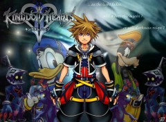 Fonds d'cran Jeux Vido will sora open the door to light? kingdom hearts II