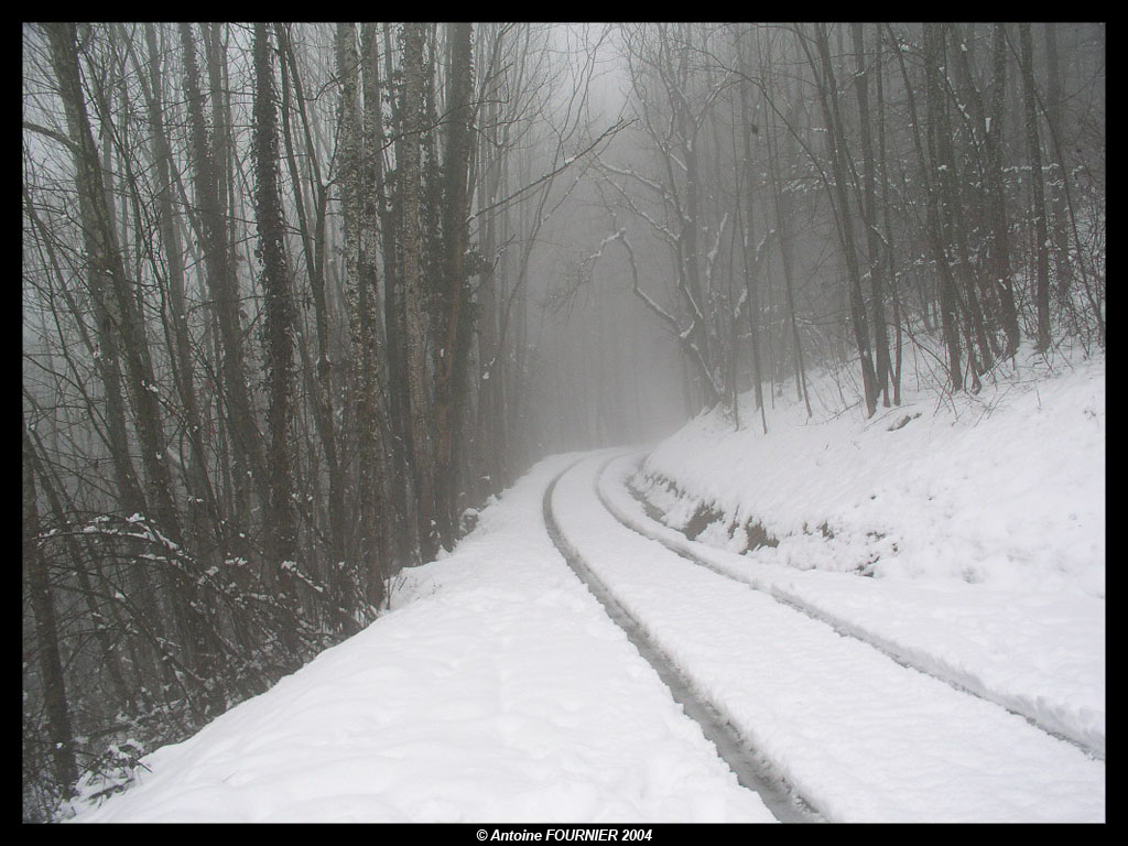 Wallpapers Nature Saisons - Winter 