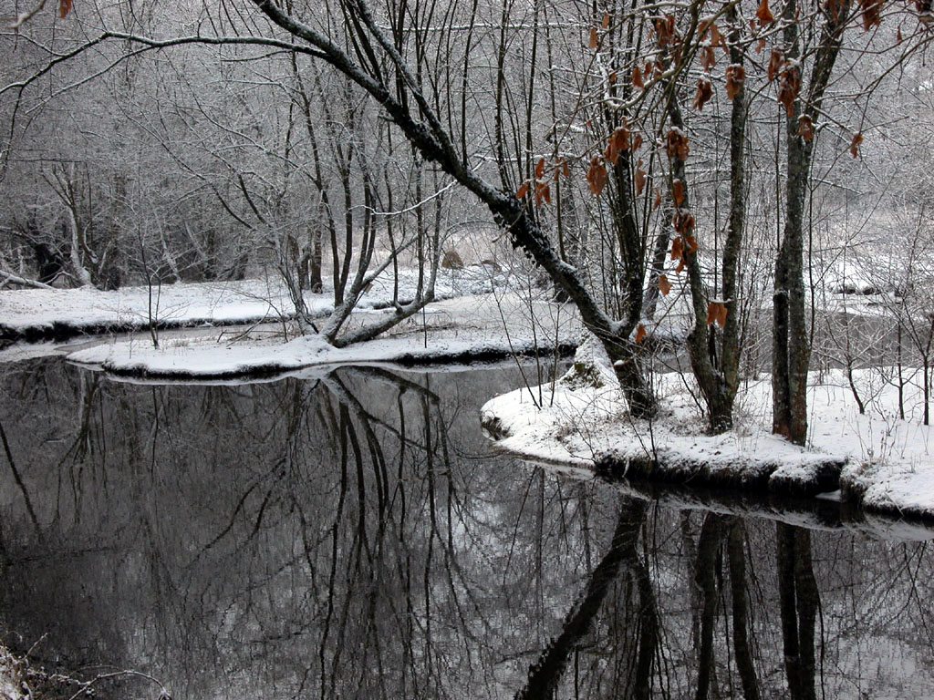 Fonds d'cran Nature Saisons - Hiver Eaux sombres