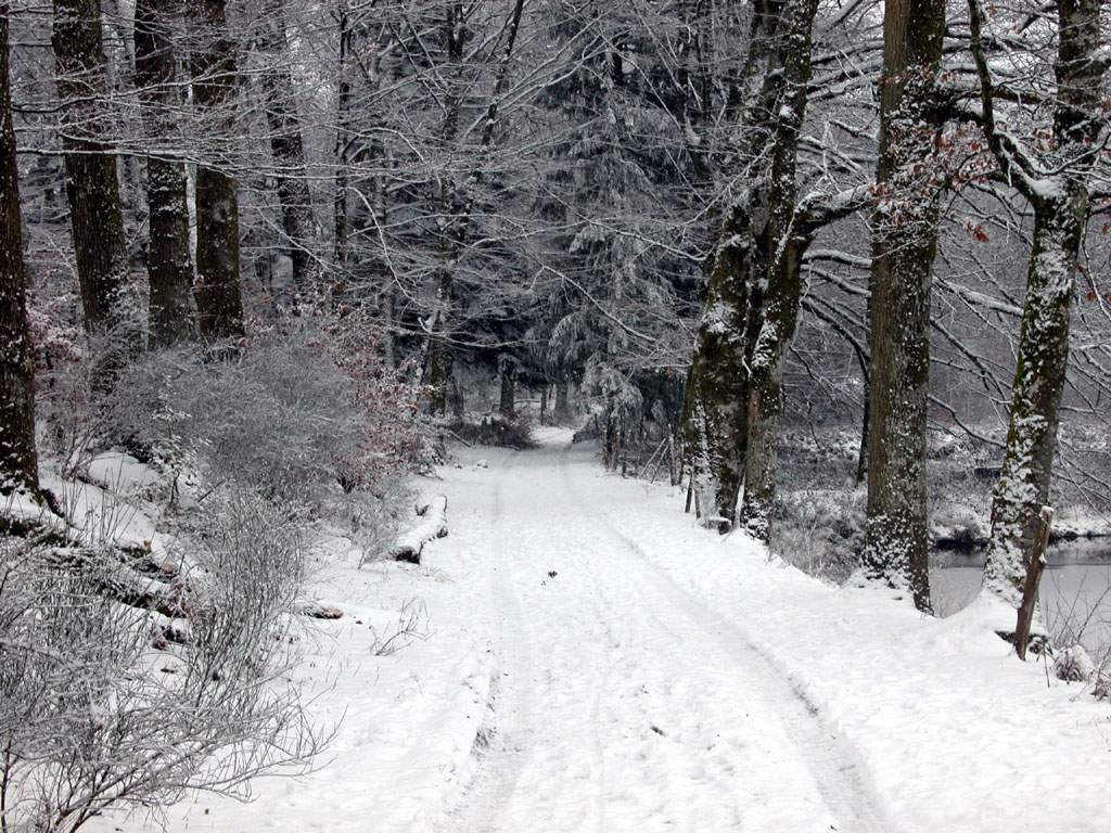 Wallpapers Nature Saisons - Winter Chemin vers nulle part