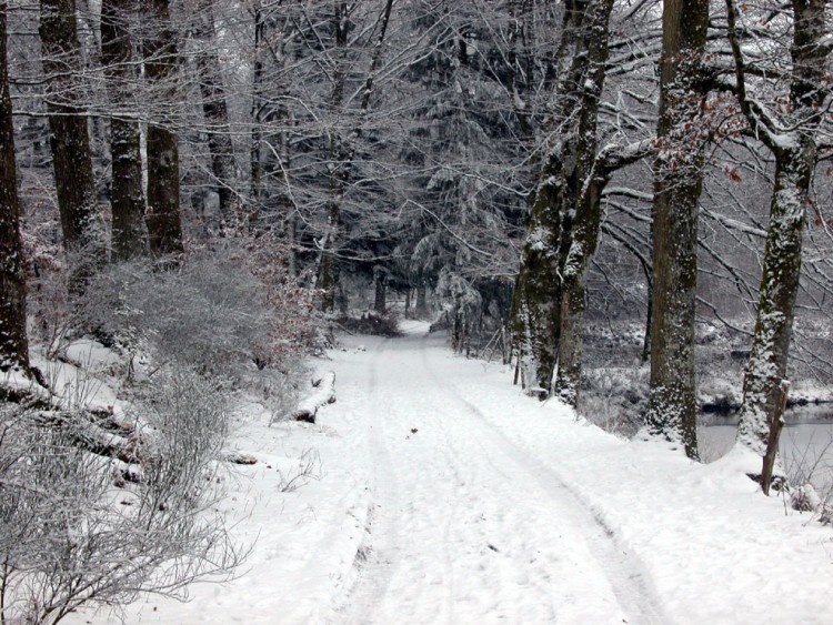 Fonds d'cran Nature Saisons - Hiver Chemin vers nulle part