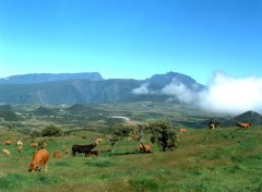 Fonds d'cran Voyages : Afrique Ile de la Runion