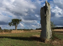 Fonds d'cran Nature Image sans titre N92432