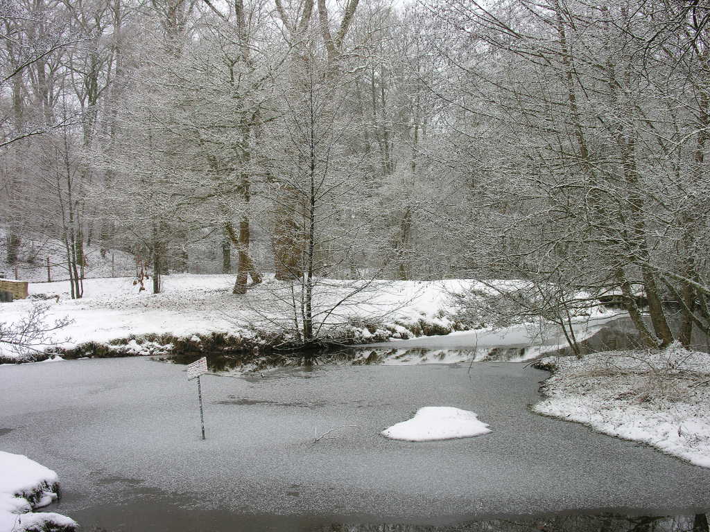 Fonds d'cran Nature Saisons - Hiver 