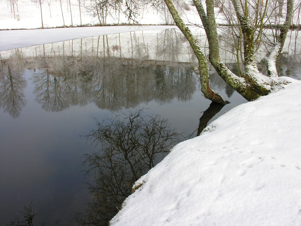 Fonds d'cran Nature Saisons - Hiver 