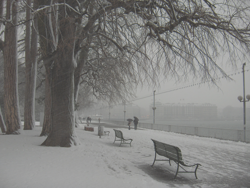 Fonds d'cran Voyages : Europe Suisse geneve sous la neige