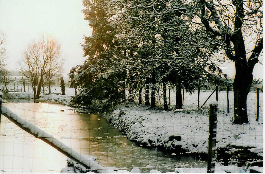 Wallpapers Nature Saisons - Winter le silence