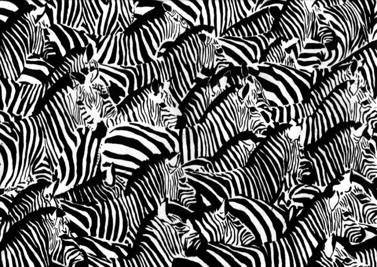 Wallpapers Art - Pencil Animals - Zebras Le troupeau