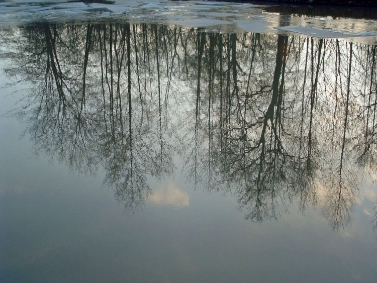 Wallpapers Nature Water - Reflection Reflets...