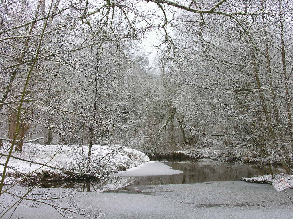 Fonds d'cran Nature Saisons - Hiver 