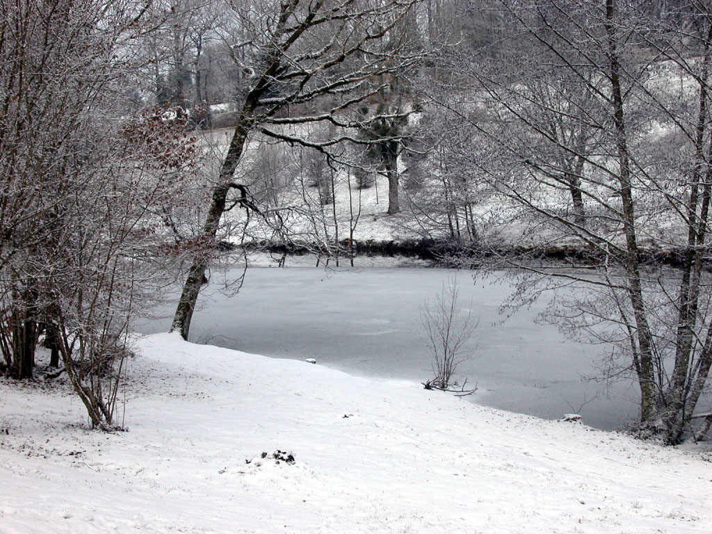 Wallpapers Nature Saisons - Winter 