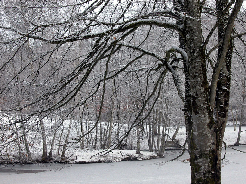 Fonds d'cran Nature Saisons - Hiver 