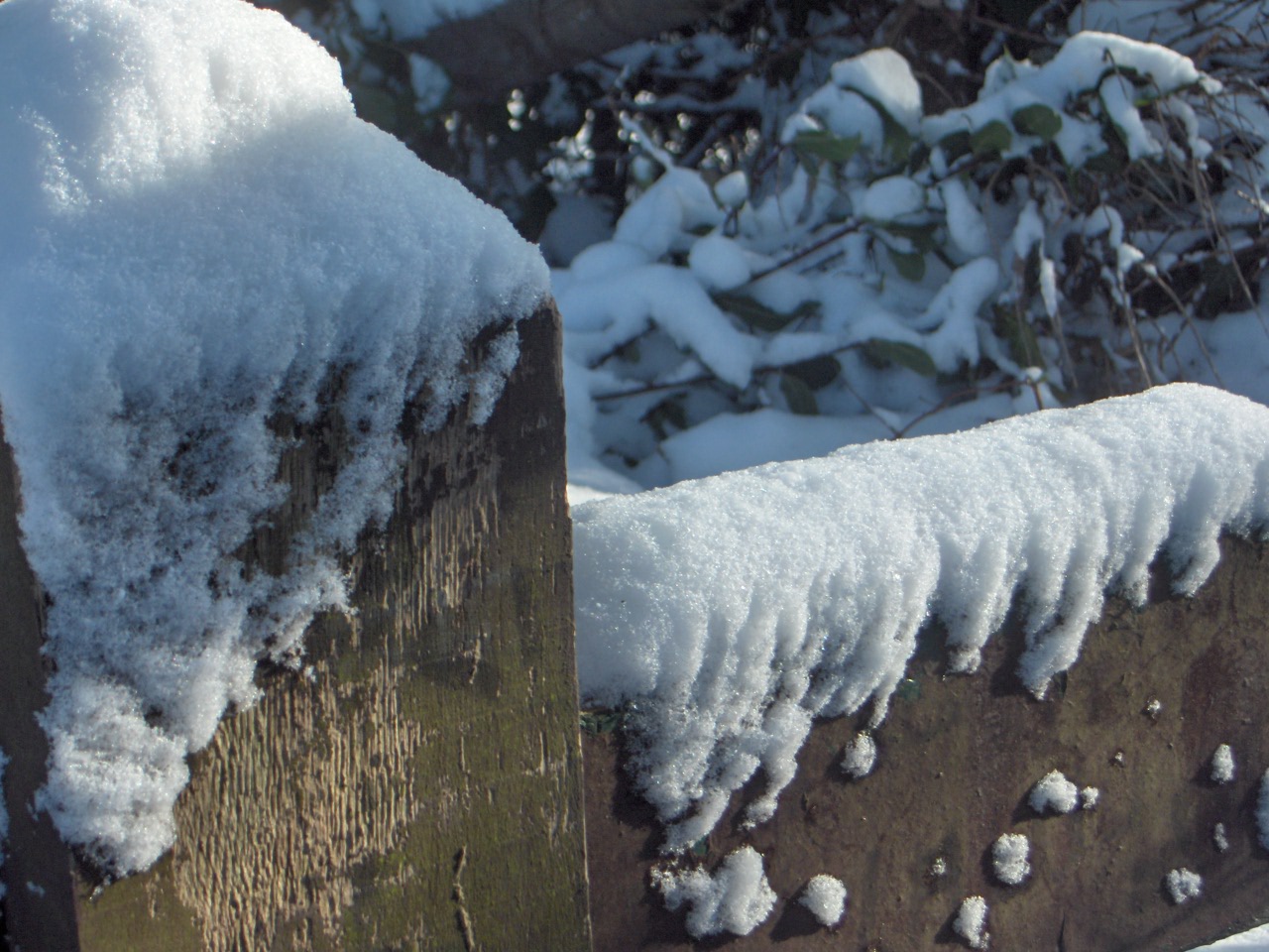 Fonds d'cran Nature Saisons - Hiver Barrire sous la neige