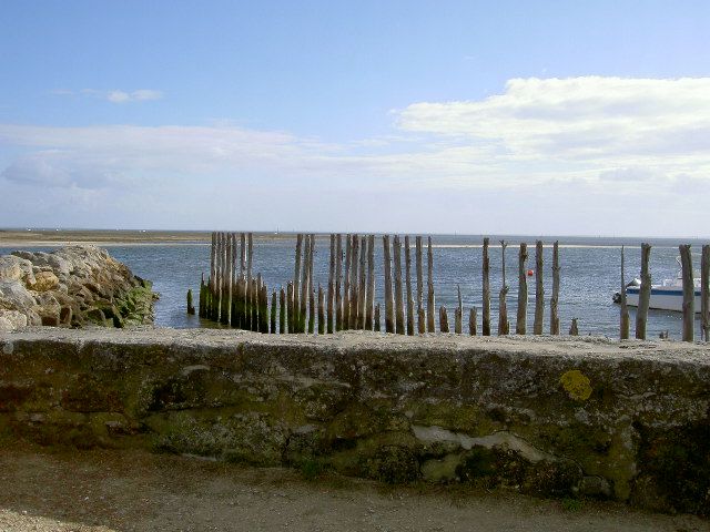 Fonds d'cran Nature Mers - Ocans - Plages port ostreicole d'ares (33)