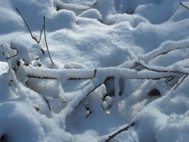 Fonds d'cran Nature Saisons - Hiver a caille !