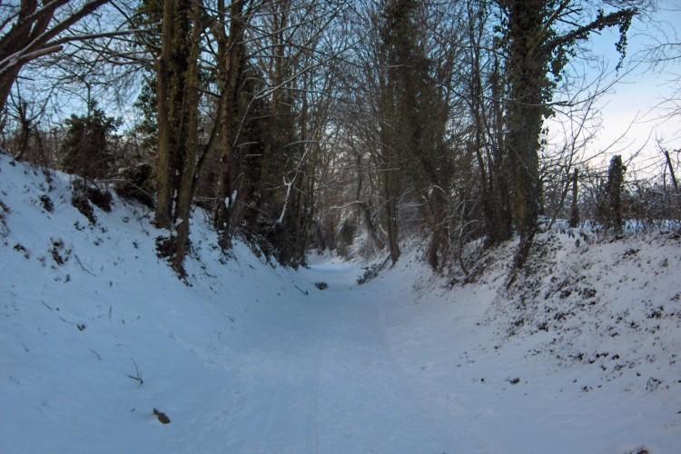 Fonds d'cran Nature Arbres - Forts Chemin sous la neige