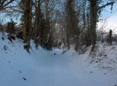 Fonds d'cran Nature Chemin sous la neige