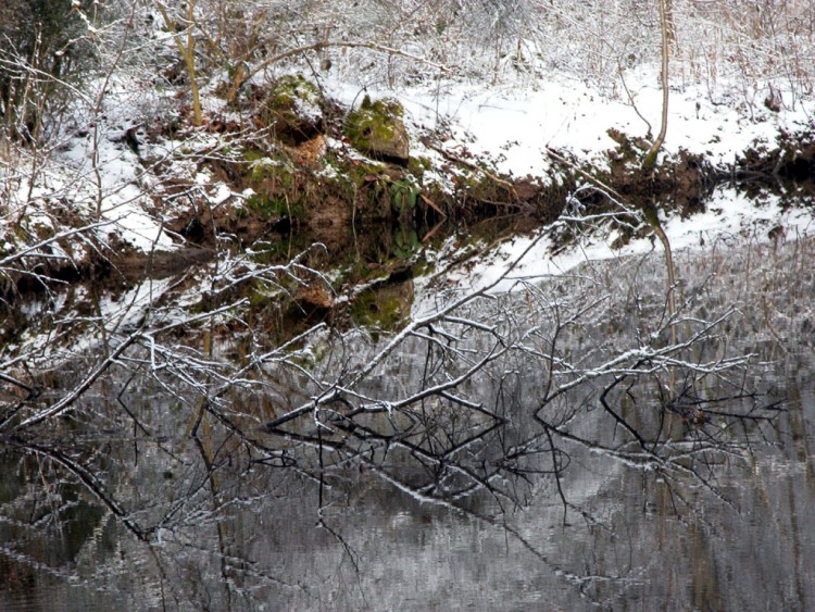 Wallpapers Nature Water - Reflection Reflets trompeurs