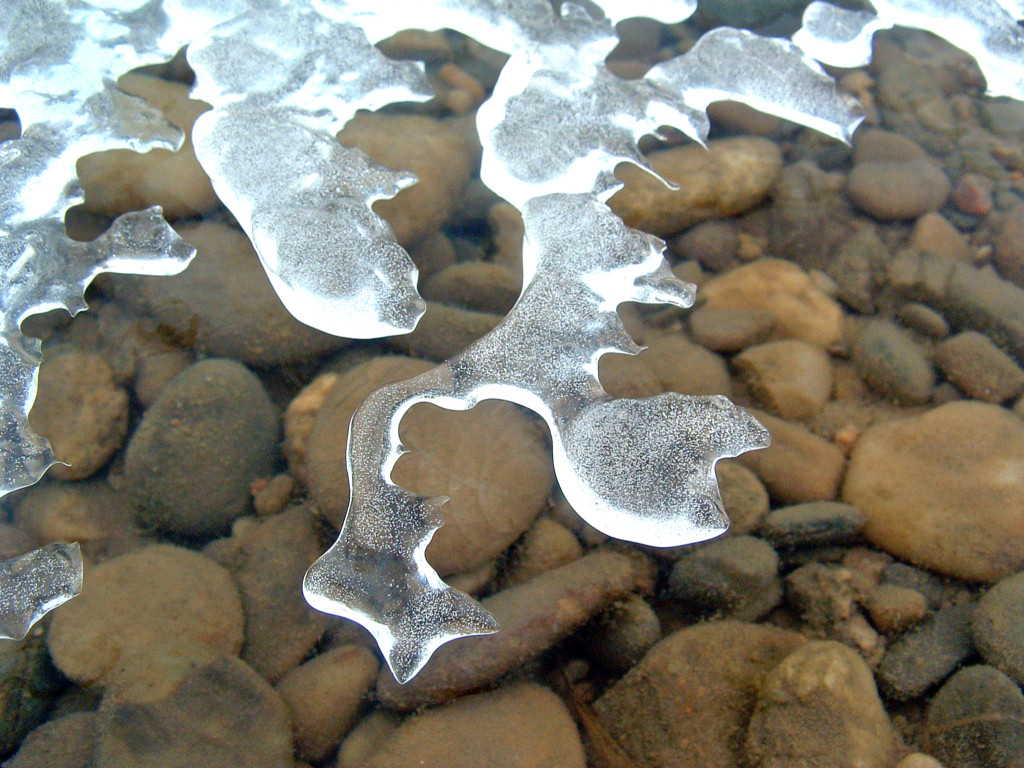 Fonds d'cran Nature Saisons - Hiver Dentelle gele