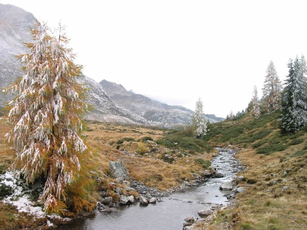 Fonds d'cran Nature Paysages Quand le gel arrive