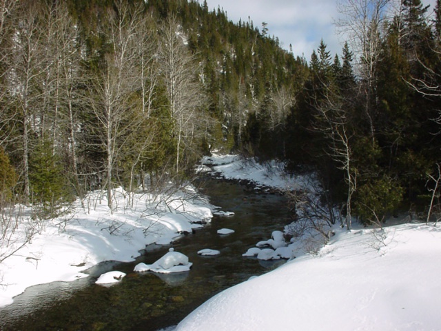 Fonds d'cran Nature Fleuves - Rivires - Torrents Rivire Mont-Louis