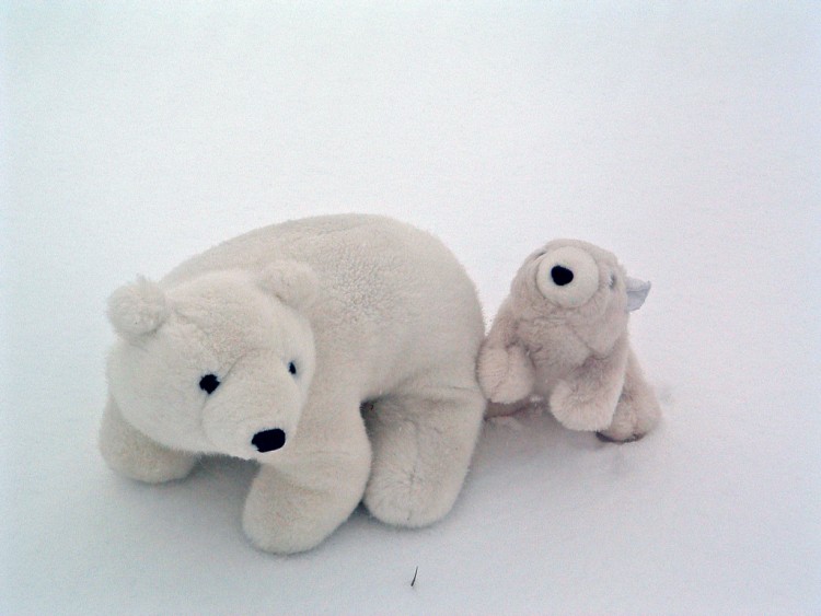 Fonds d'cran Objets Peluches Maman ours blanc et son petit...