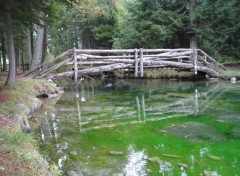 Fonds d'cran Nature eau verte