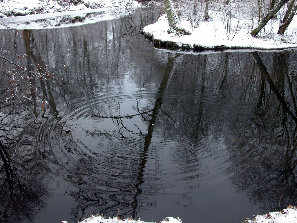 Wallpapers Nature Water - Reflection Clin d'oeil  Gros Nounours