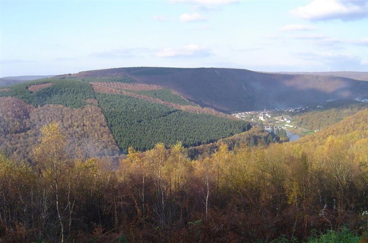 Fonds d'cran Nature Fleuves - Rivires - Torrents La Meuse