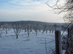 Fonds d'cran Nature Vergers sous la neige