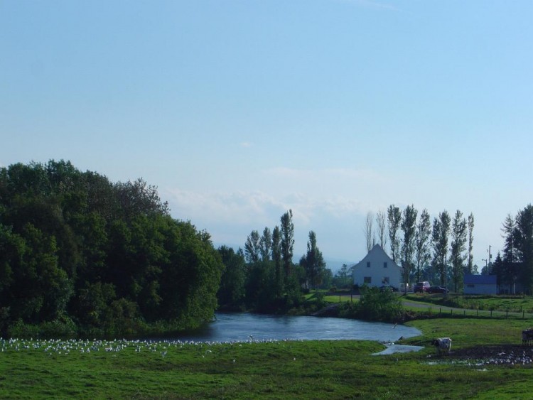 Fonds d'cran Nature Campagne CO-LOC