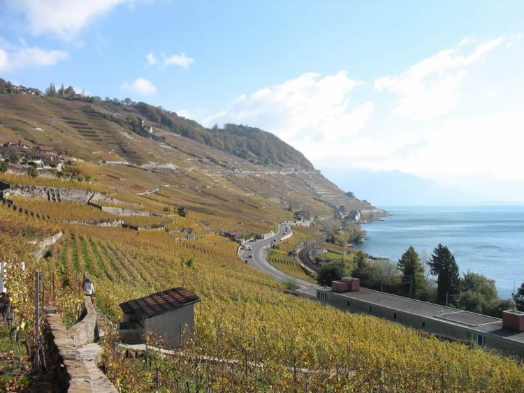 Fonds d'cran Nature Paysages Lavaux