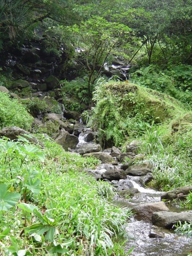 Fonds d'cran Voyages : Afrique La Runion Petit cours d'eau