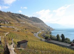 Fonds d'cran Nature Lavaux