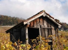 Fonds d'cran Constructions et architecture Cabane dans les vignes