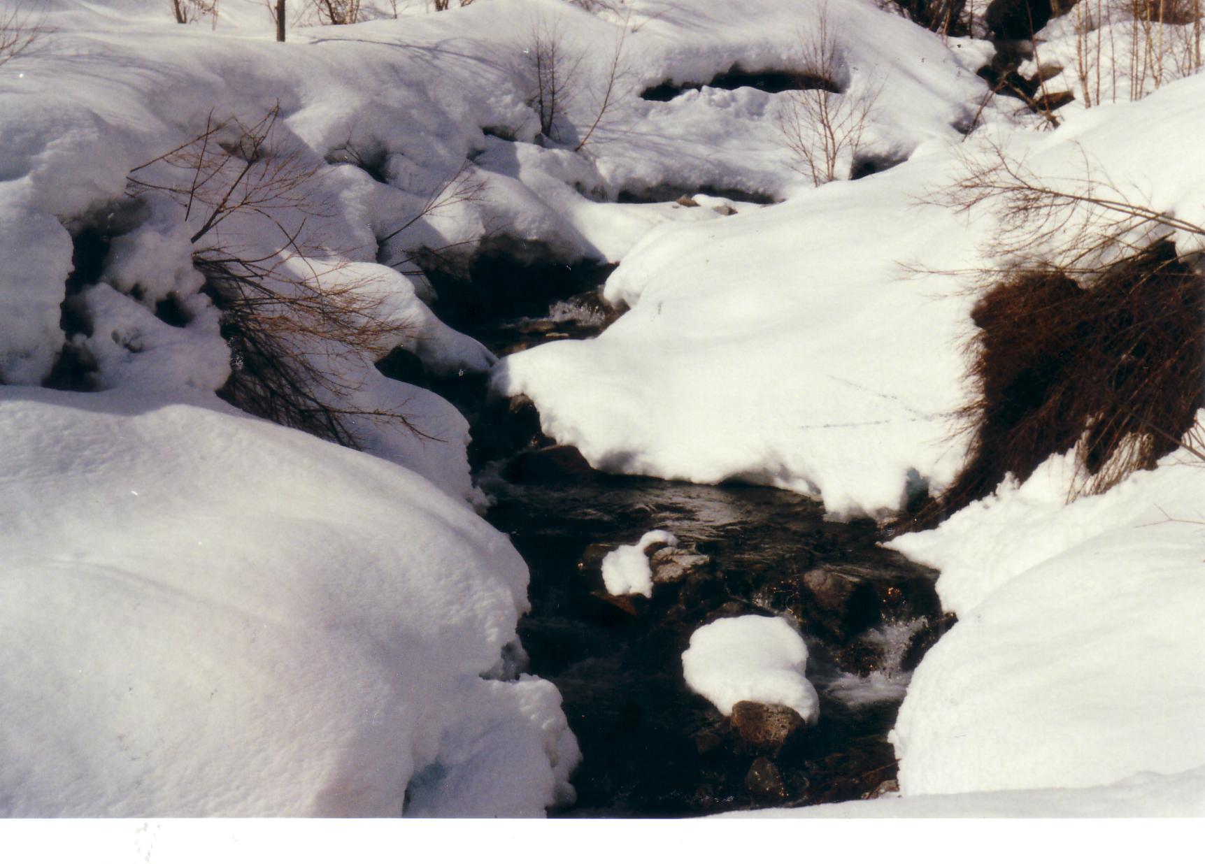 Fonds d'cran Nature Saisons - Hiver 