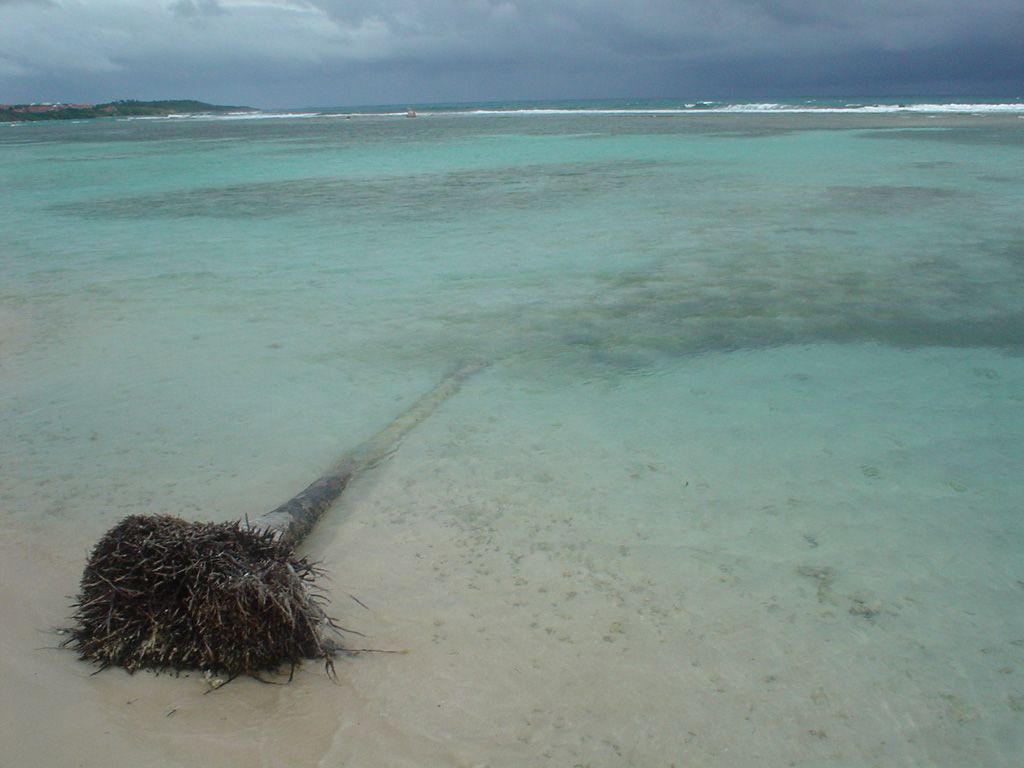 Wallpapers Nature Seas - Oceans - Beaches COCO