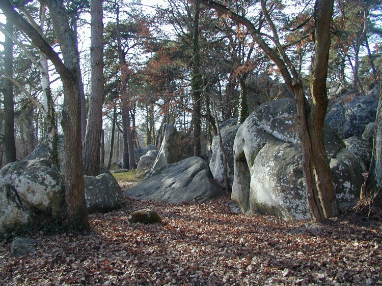 Wallpapers Nature Trees - Forests ROCHES DE BUTHIERS