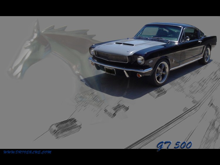 Wallpapers Cars Ford FORD MUSTANG GT 500