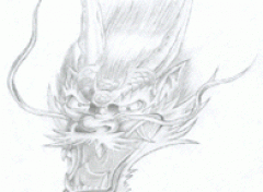 Wallpapers Art - Pencil Tte de dragon