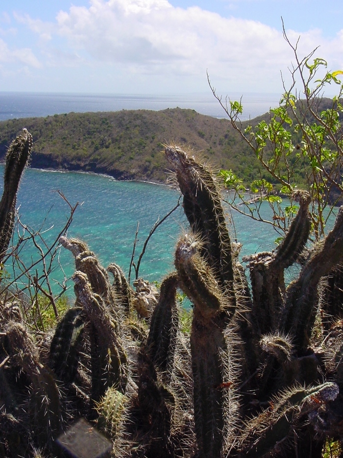 Fonds d'cran Voyages : Amrique du nord La Guadeloupe les Saintes en Guadeloupe