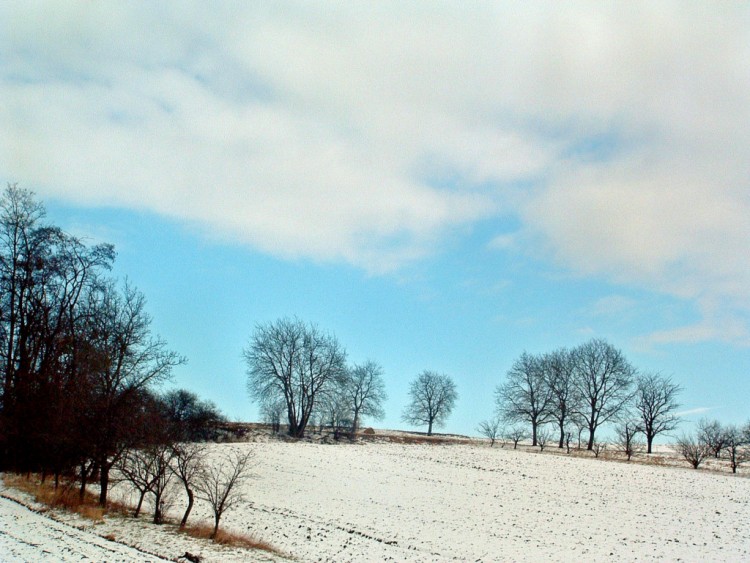 Fonds d'cran Nature Saisons - Hiver Un peu de ciel bleu...