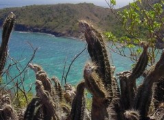 Fonds d'cran Voyages : Amrique du nord les Saintes en Guadeloupe