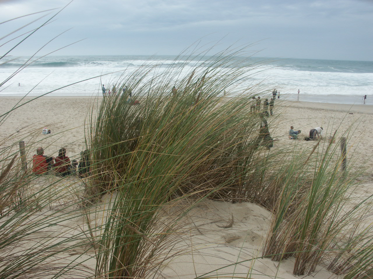 Fonds d'cran Nature Mers - Ocans - Plages 