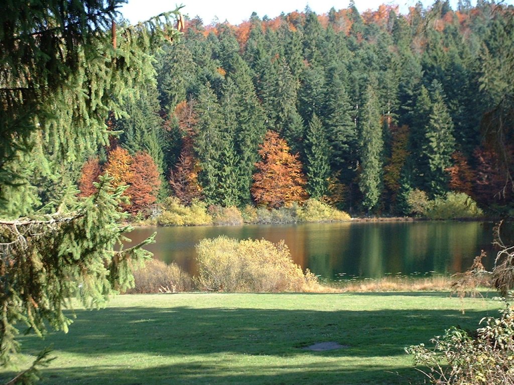 Fonds d'cran Nature Couchers et levers de Soleil 