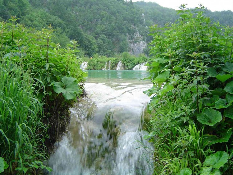 Fonds d'cran Nature Cascades - Chutes Lacs de Plitvice