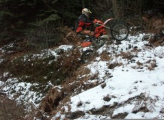 Fonds d'cran Motos Hivers dans les bois